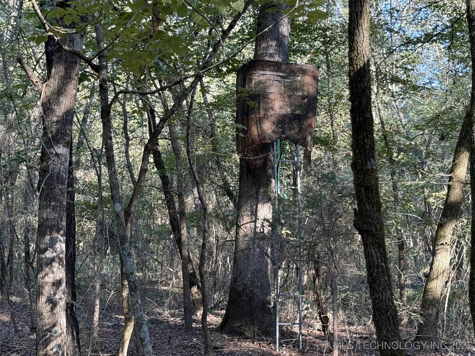 Rural Route Property Photo 16