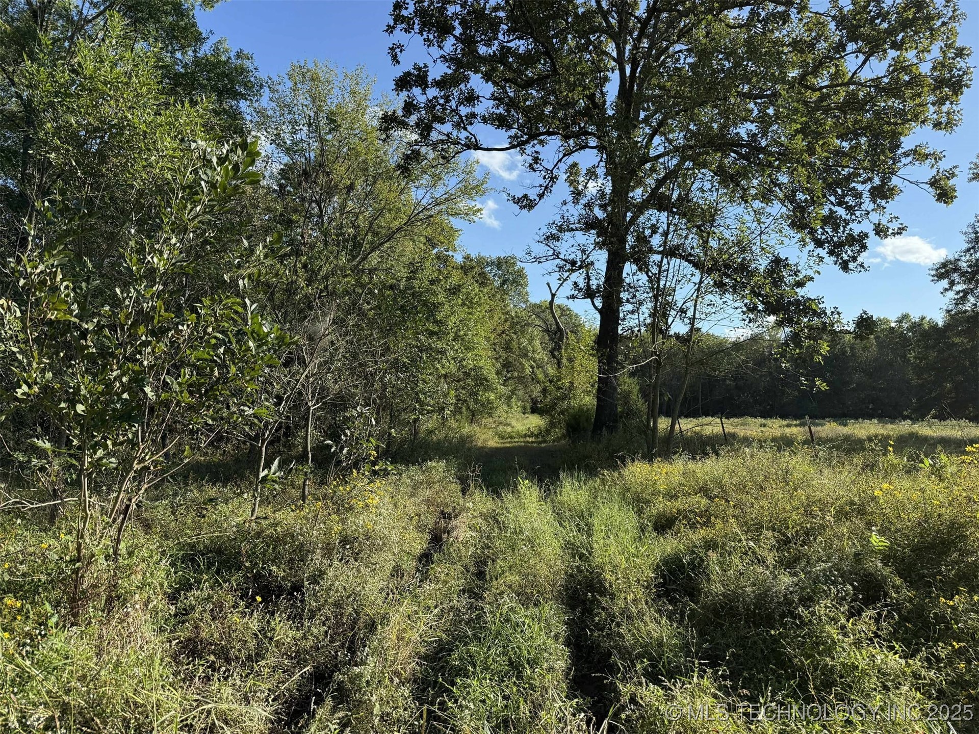 Rural Route Property Photo 18