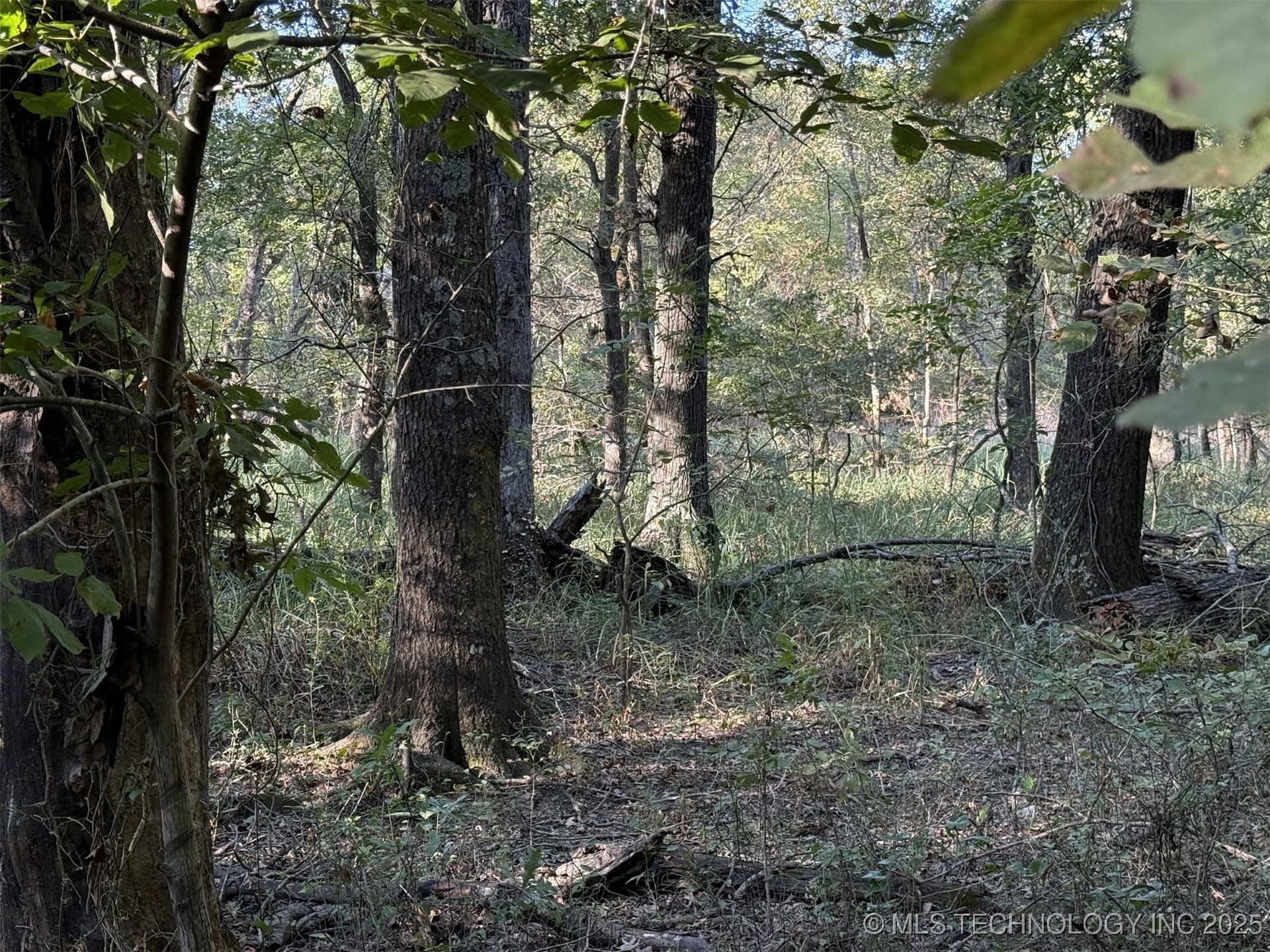 Rural Route Property Photo 19