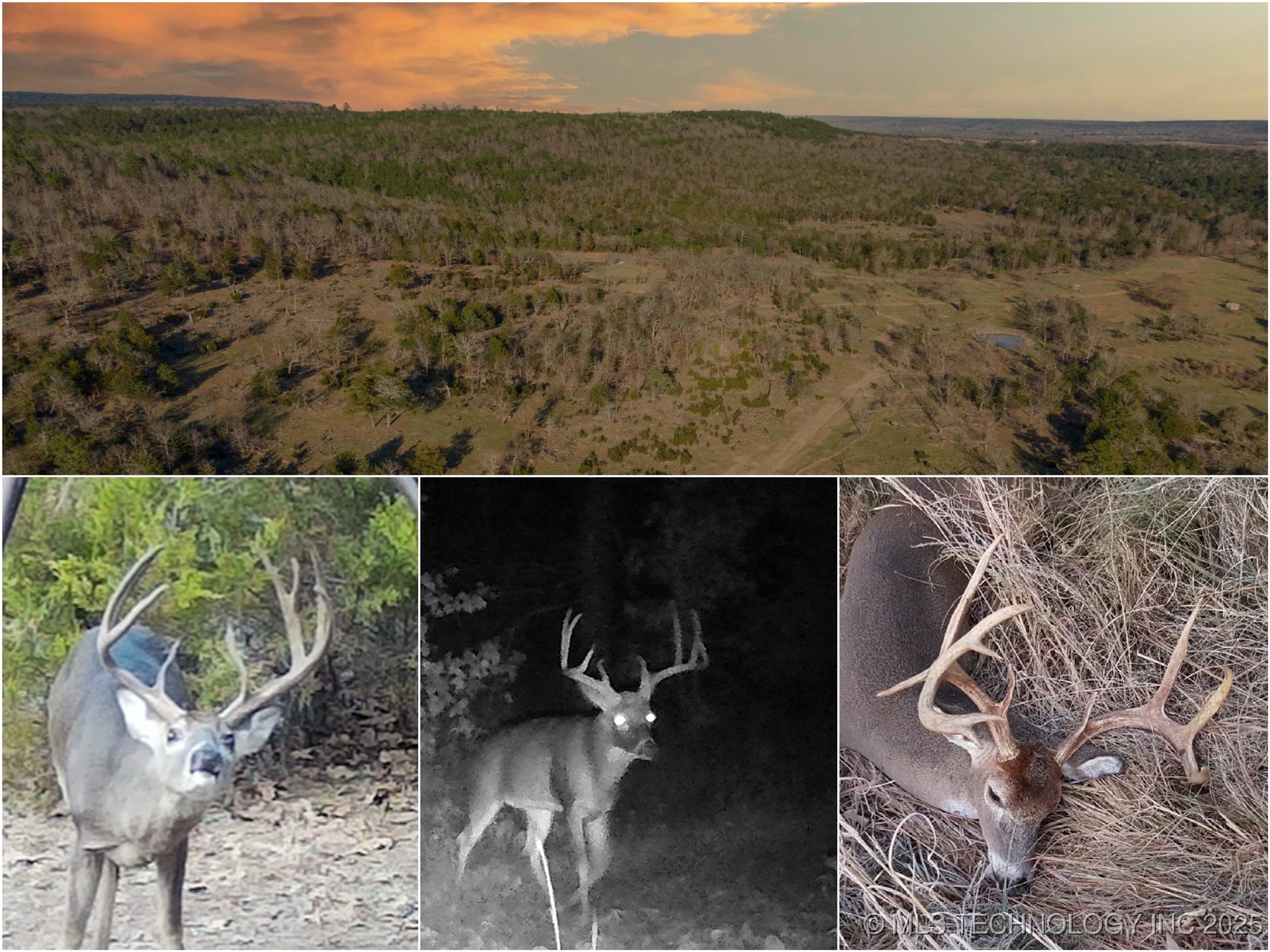 E 1860 Road Property Photo 3