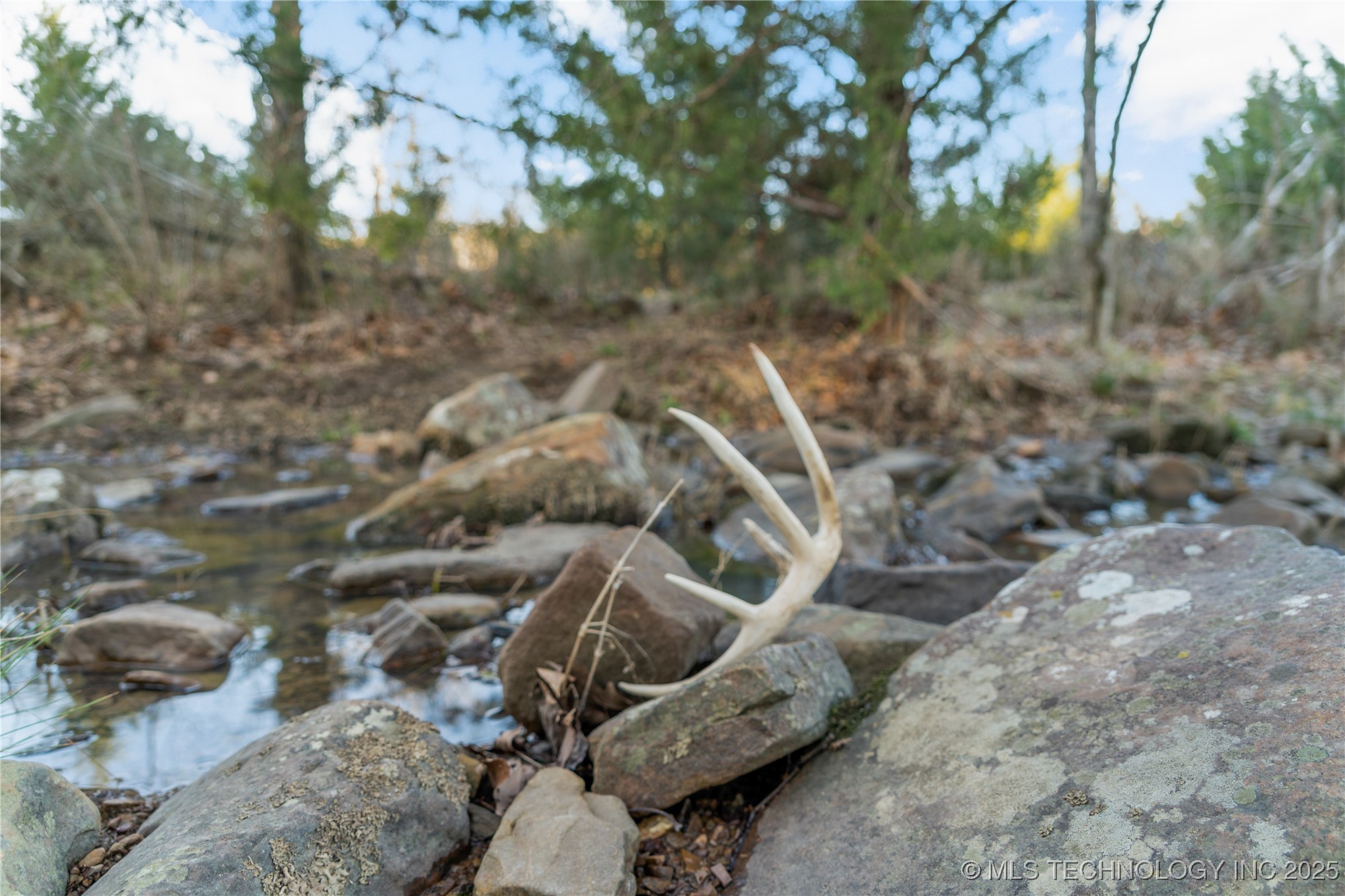 E 1860 Road Property Photo 37