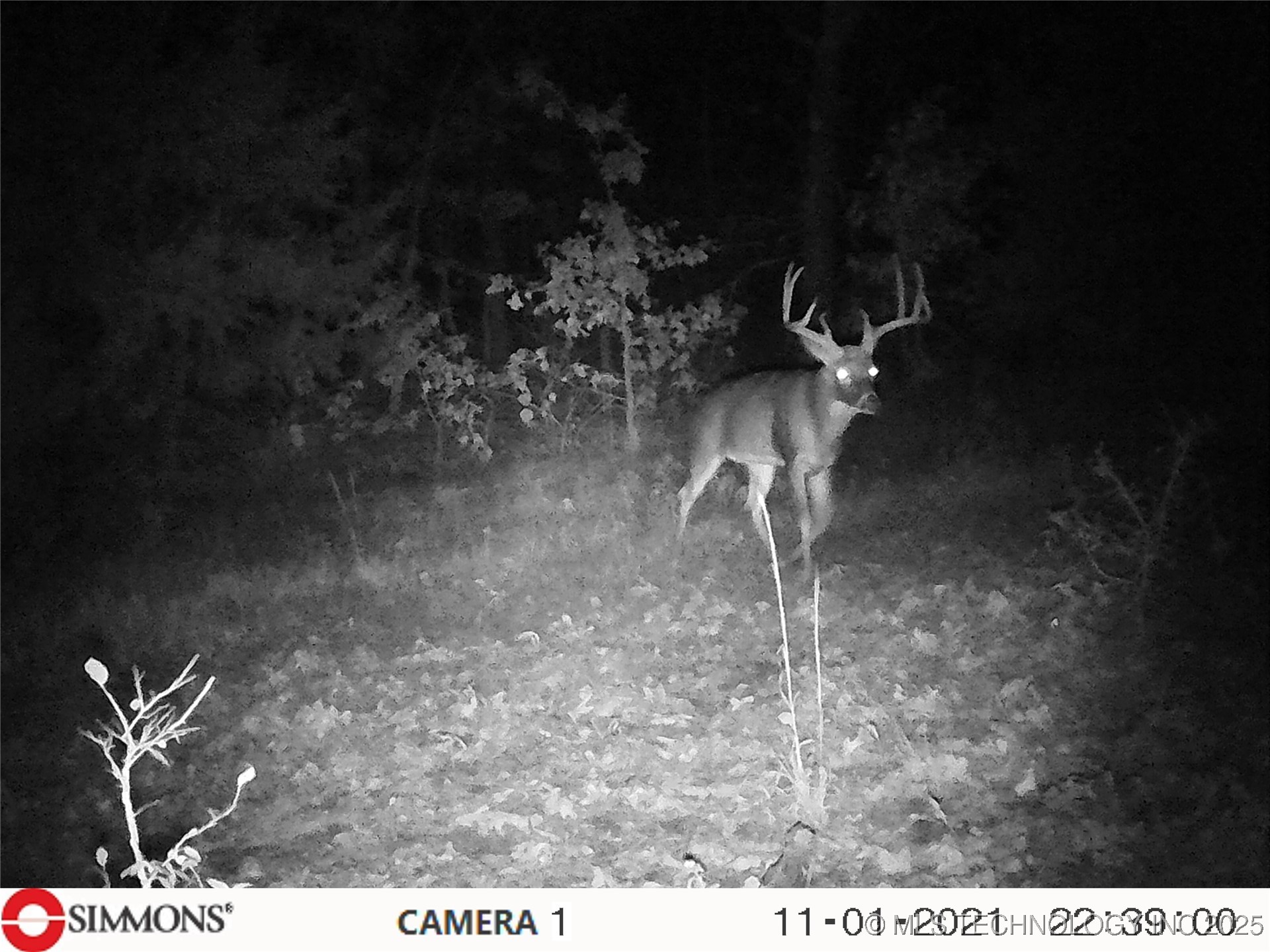 E 1860 Road Property Photo 42