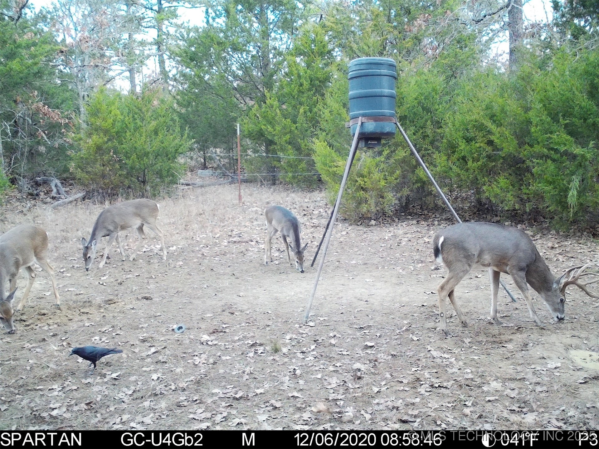 E 1860 Road Property Photo 46