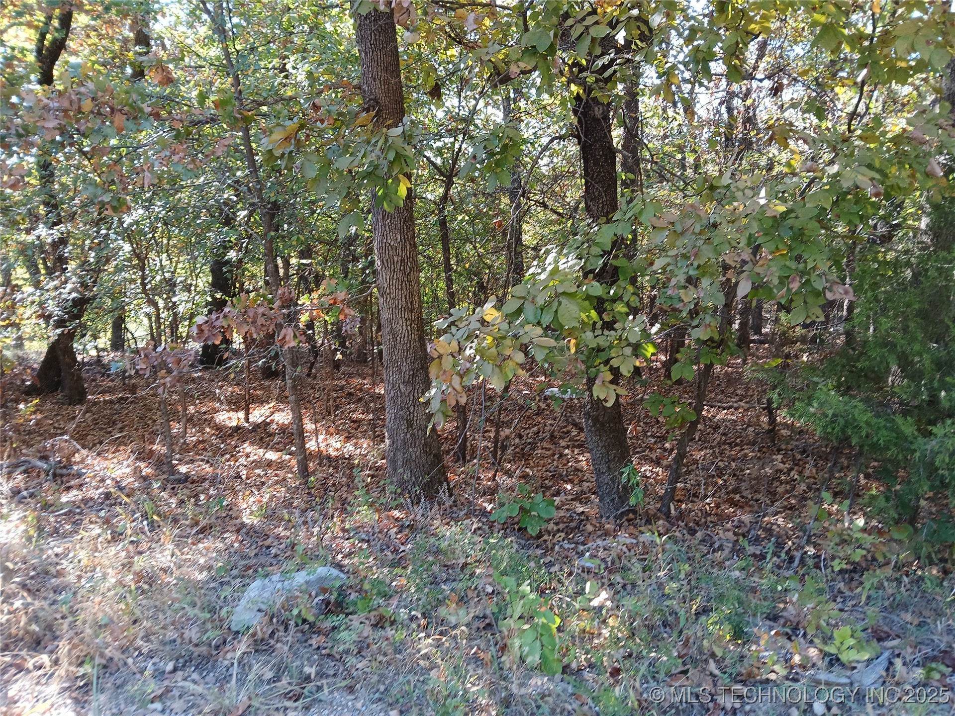 N Sunset Drive Property Photo 3