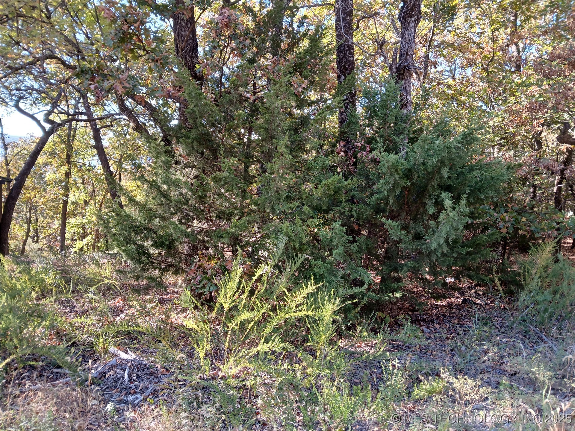 N Sunset Drive Property Photo 4