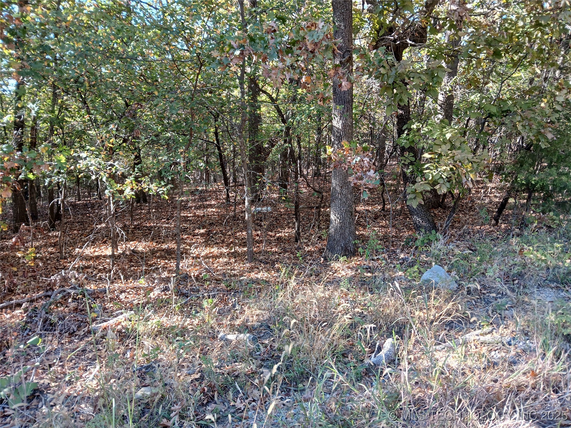 N Sunset Drive Property Photo 5