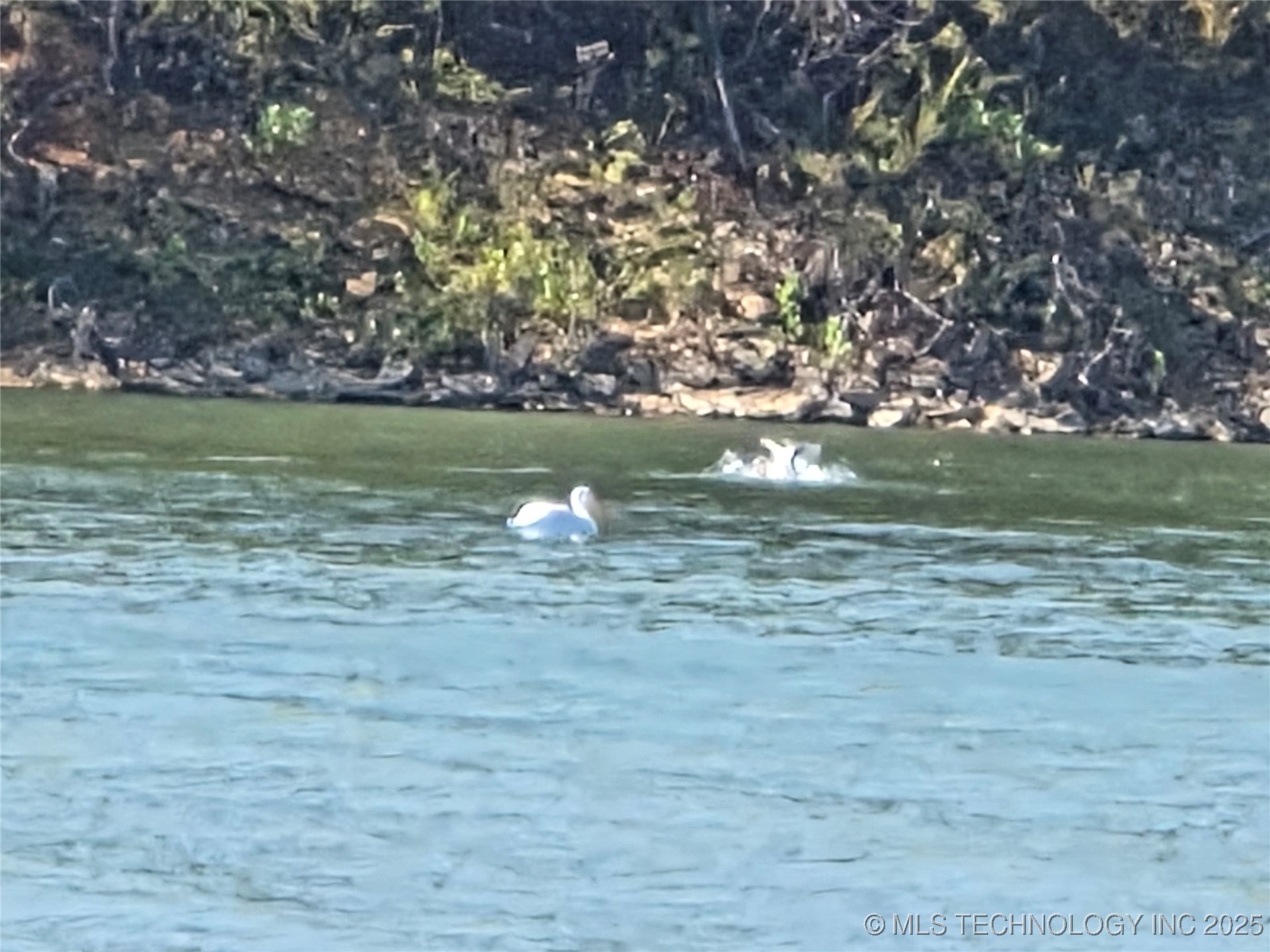 19324 W Dojaro Property Photo 28