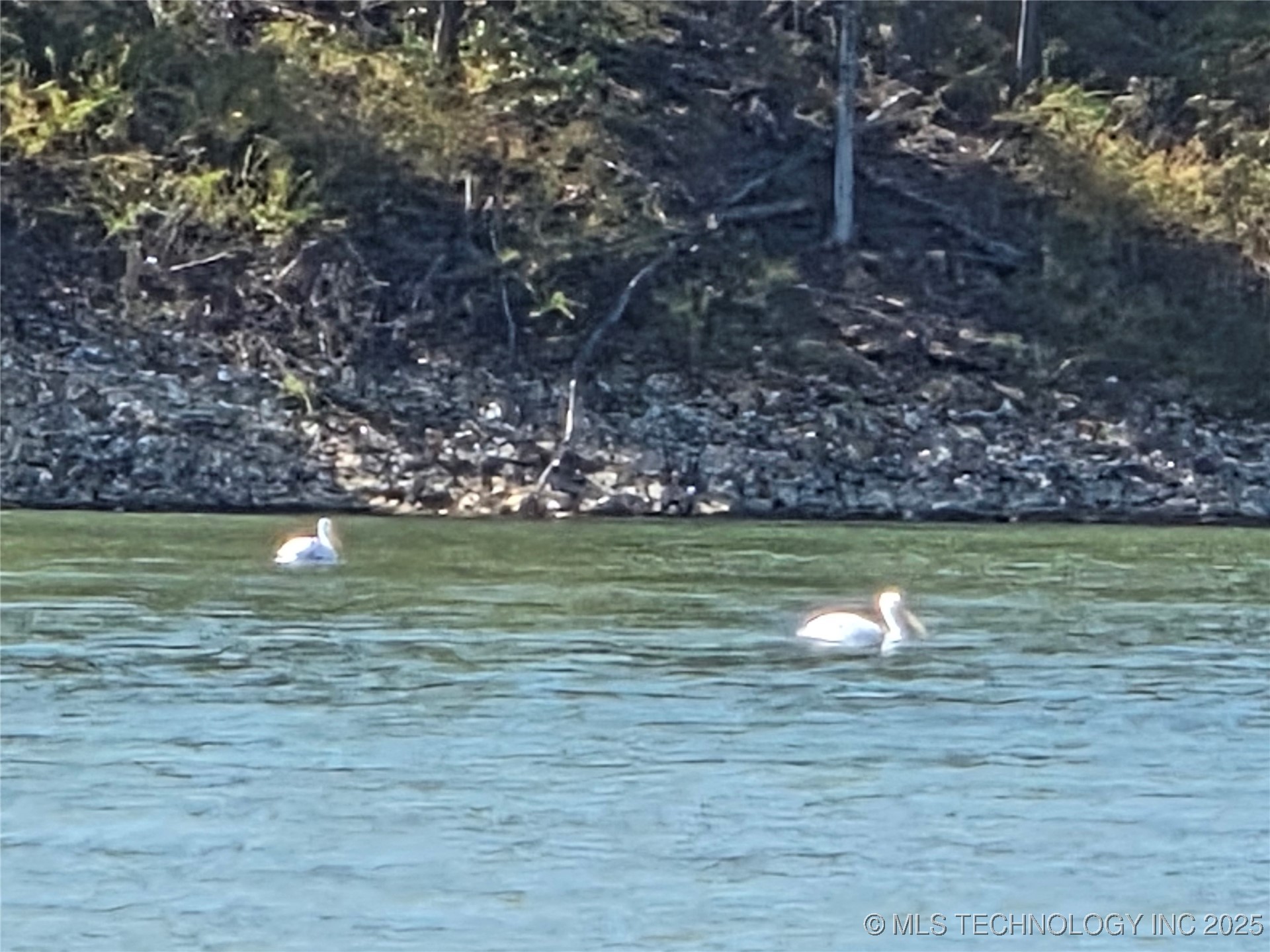 19324 W Dojaro Property Photo 29
