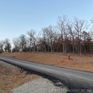 244 Patriot Pointe Street Property Photo 3