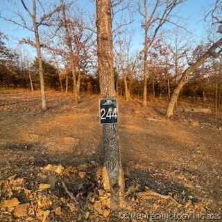 244 Patriot Pointe Street Property Photo 5