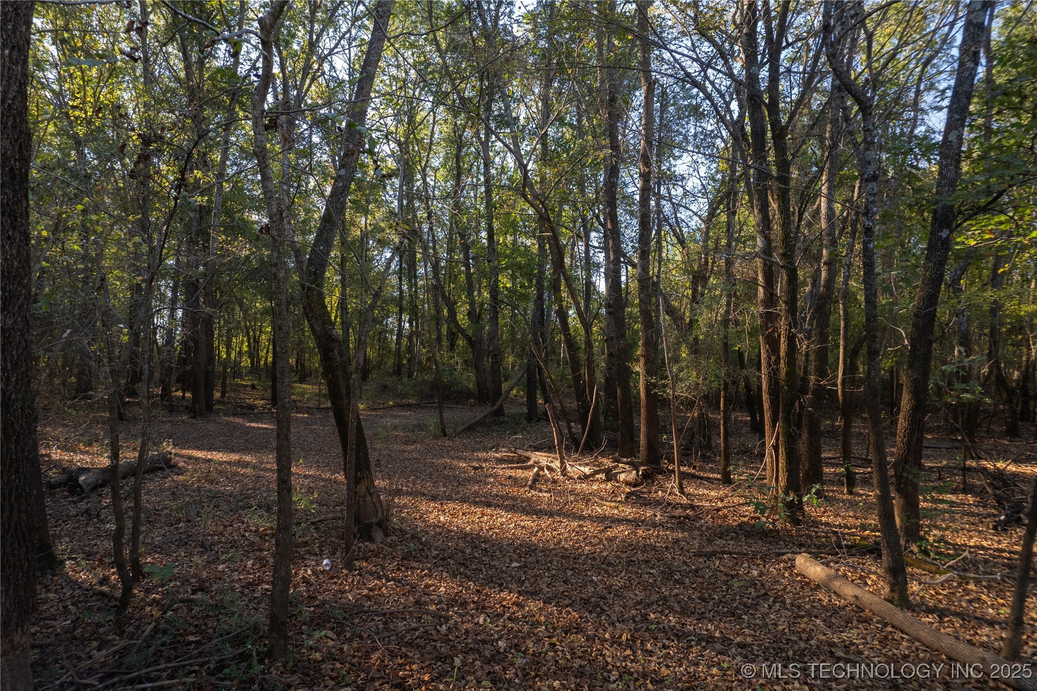 14665 N 210 Road Property Photo 3