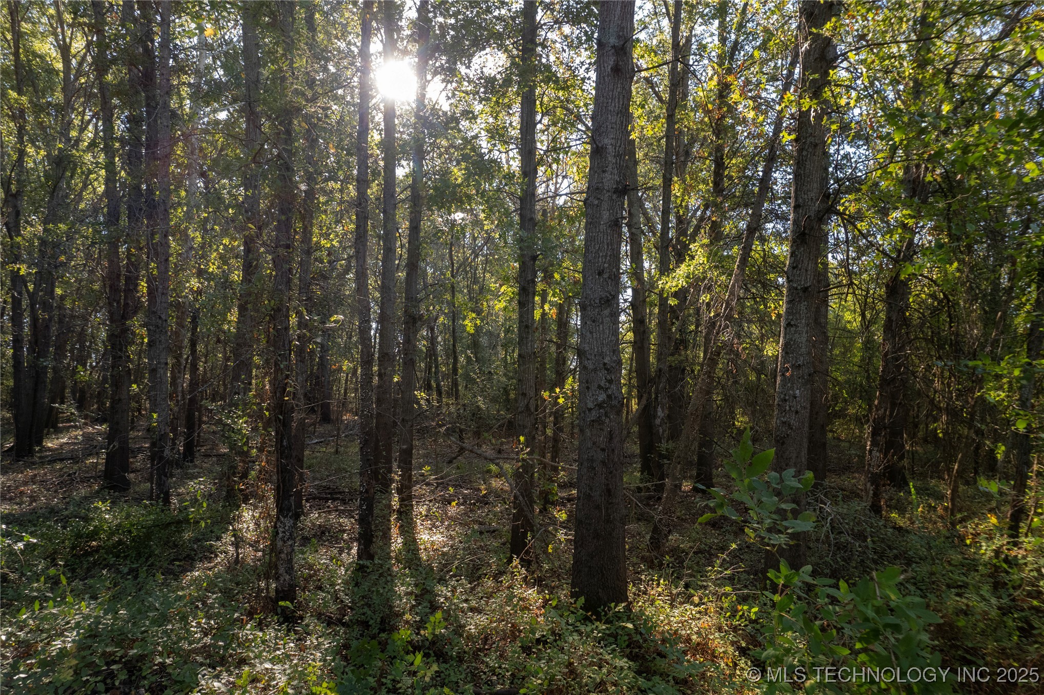 14665 N 210 Road Property Photo 4