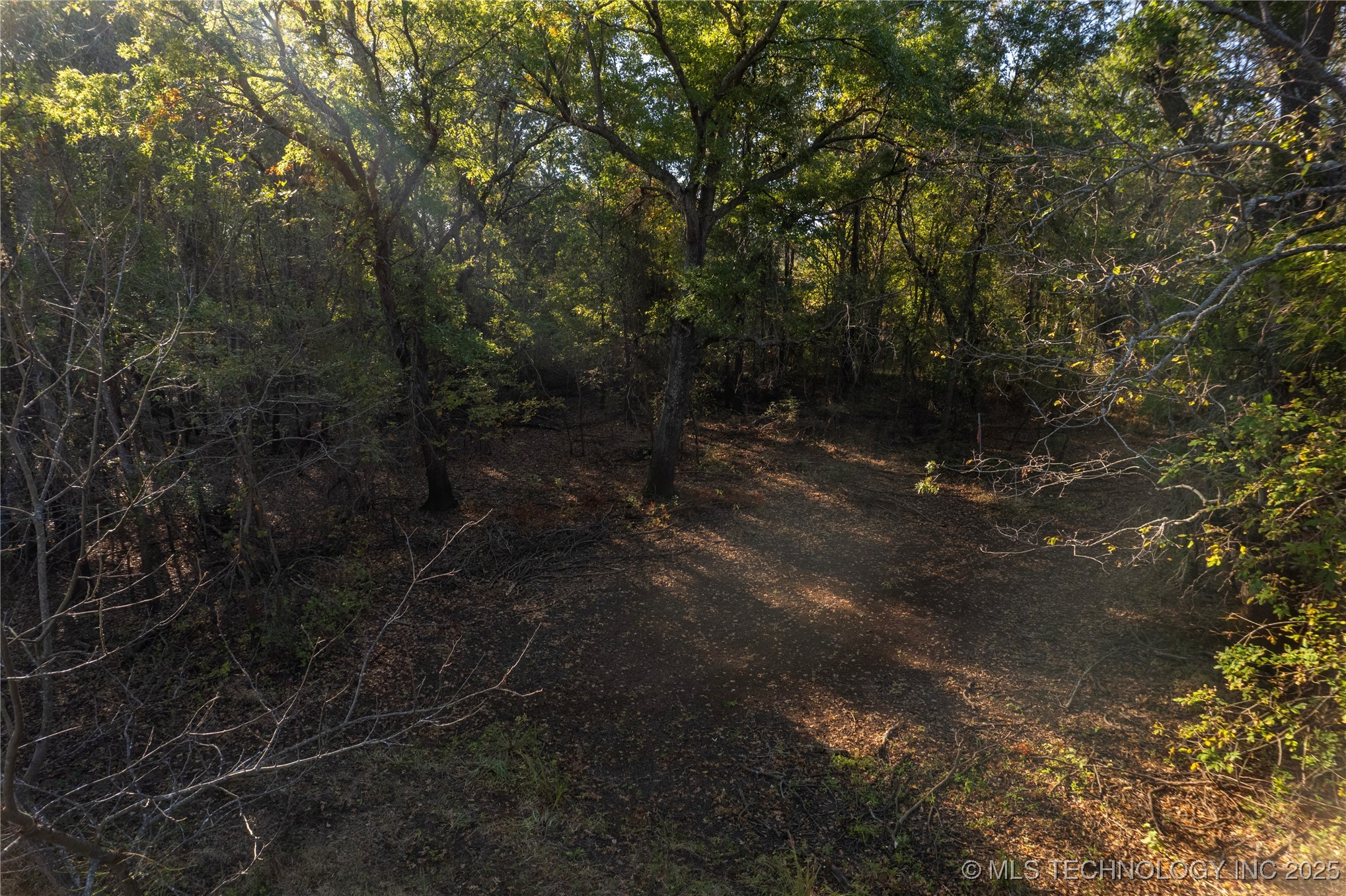 14665 N 210 Road Property Photo 9