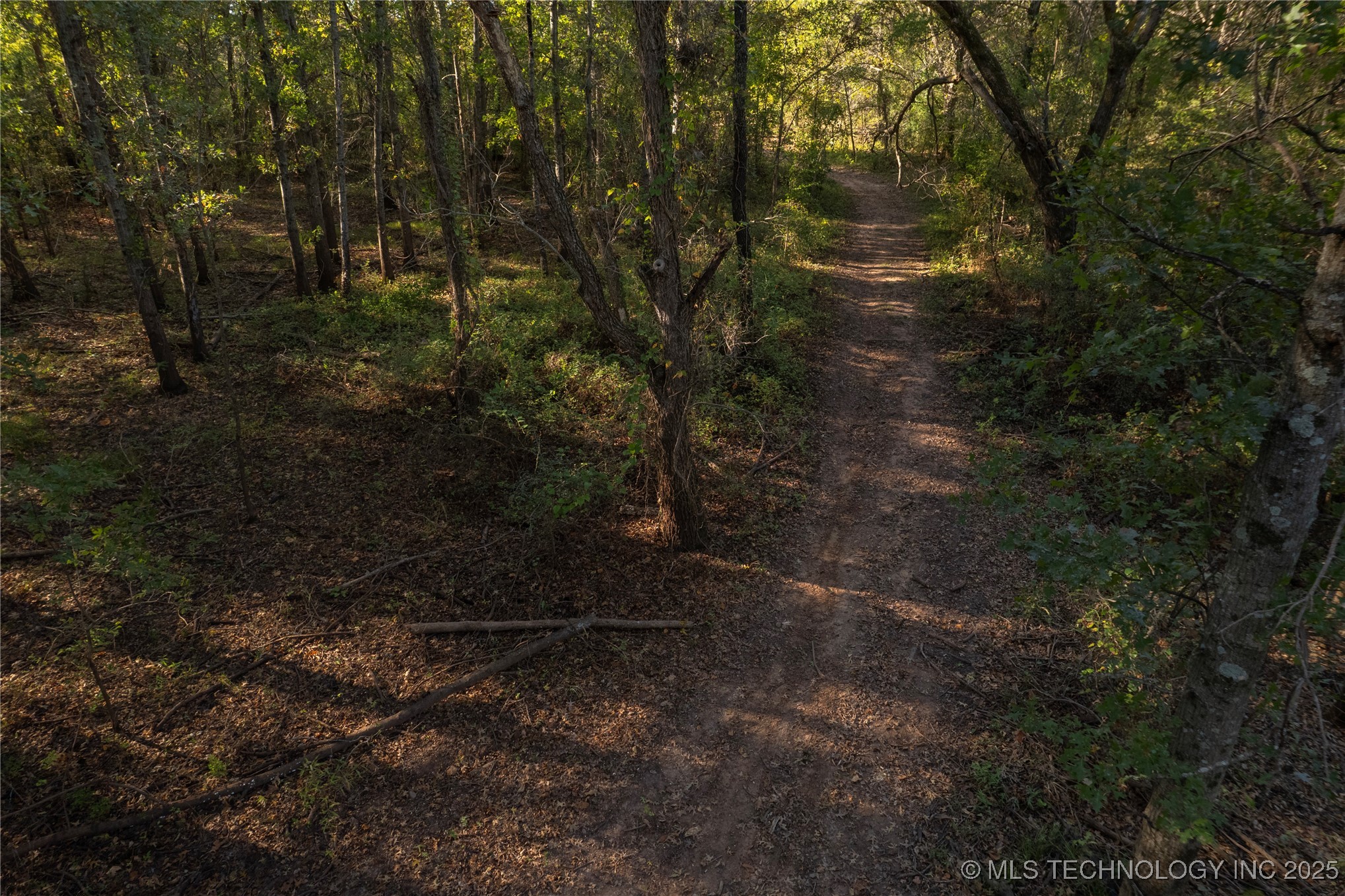 14665 N 210 Road Property Photo 11