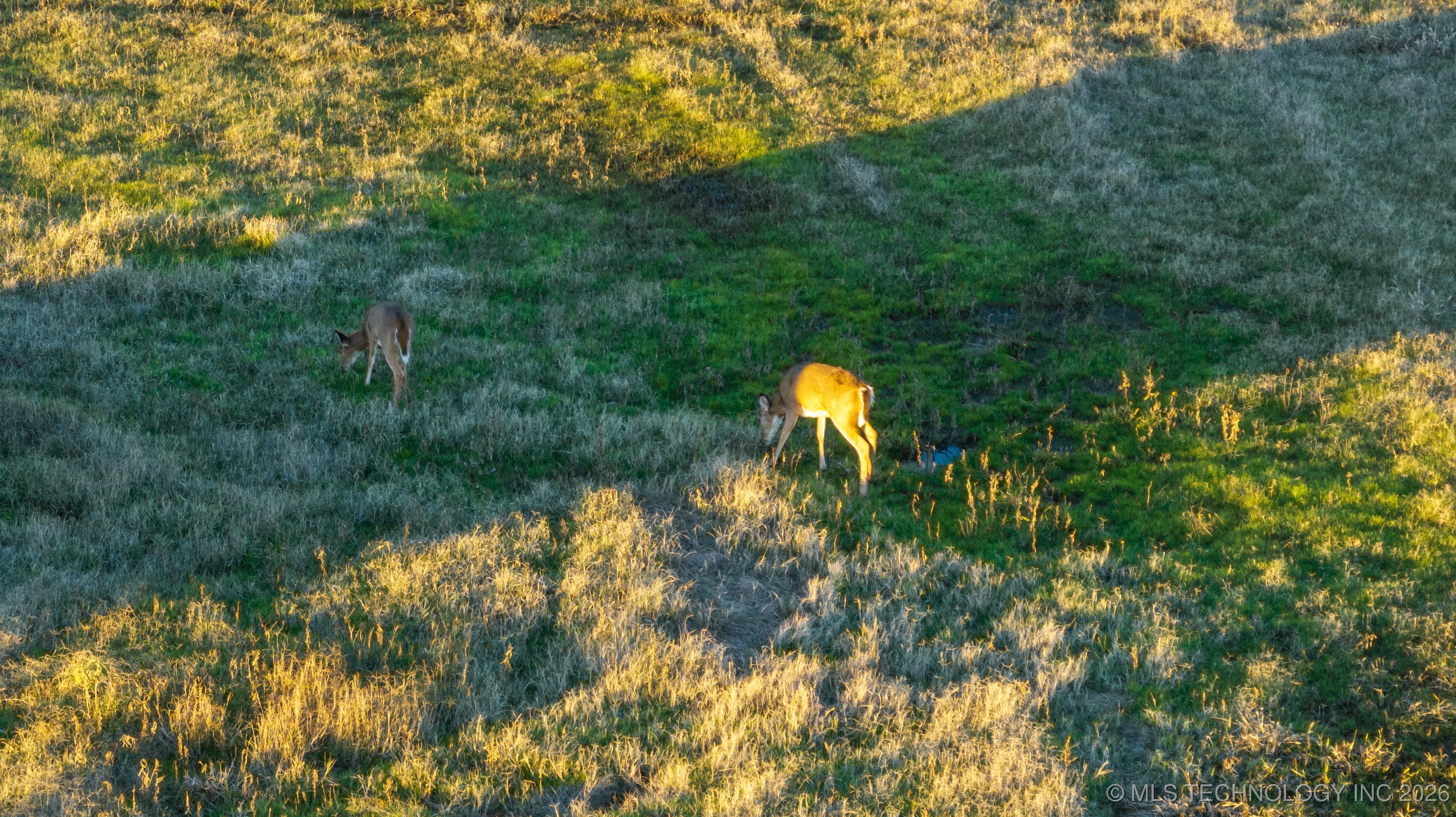 0 E 156th Street North Property Photo 22