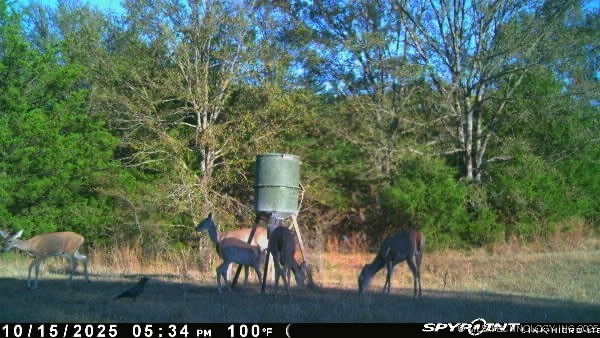 10450 County Road 1490 Road Property Photo 68