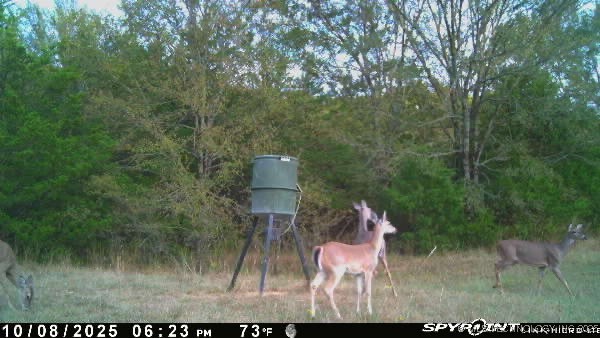 10450 County Road 1490 Road Property Photo 69