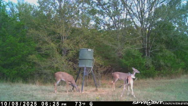 10450 County Road 1490 Road Property Photo 70