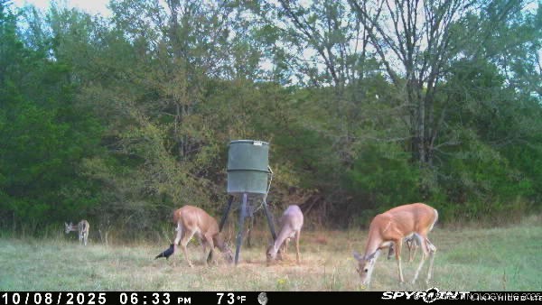 10450 County Road 1490 Road Property Photo 71