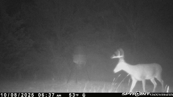 10450 County Road 1490 Road Property Photo 72