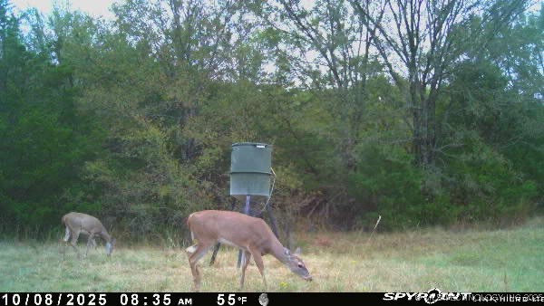 10450 County Road 1490 Road Property Photo 73