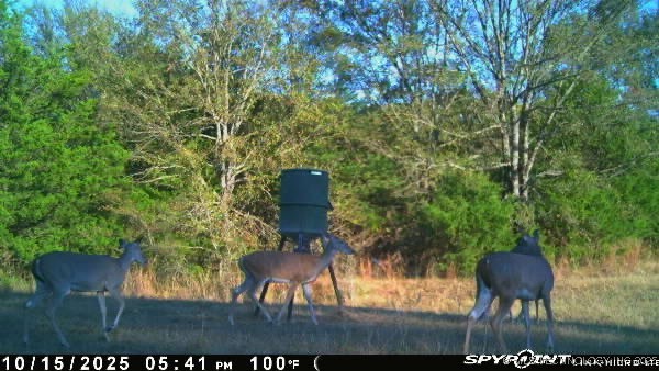 10450 County Road 1490 Road Property Photo 74