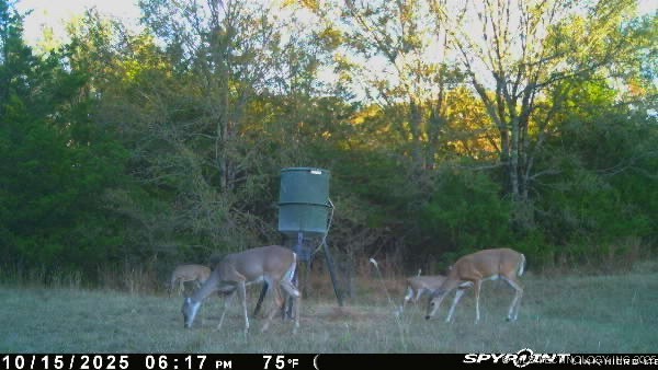 10450 County Road 1490 Road Property Photo 75
