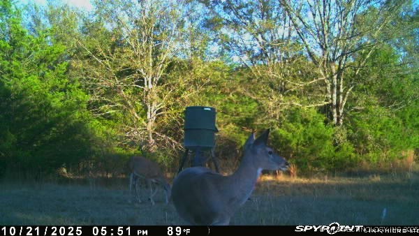 10450 County Road 1490 Road Property Photo 76