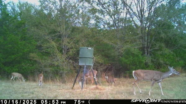 10450 County Road 1490 Road Property Photo 77
