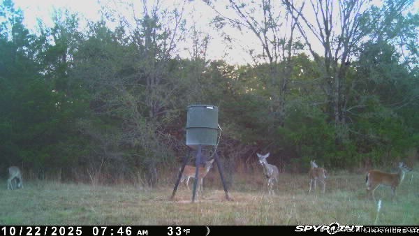 10450 County Road 1490 Road Property Photo 78