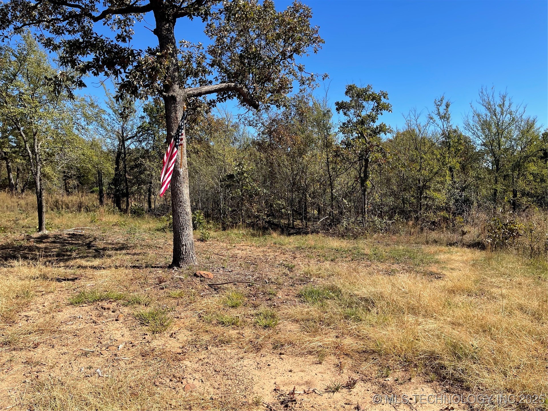 County Road 3620 Property Photo 3