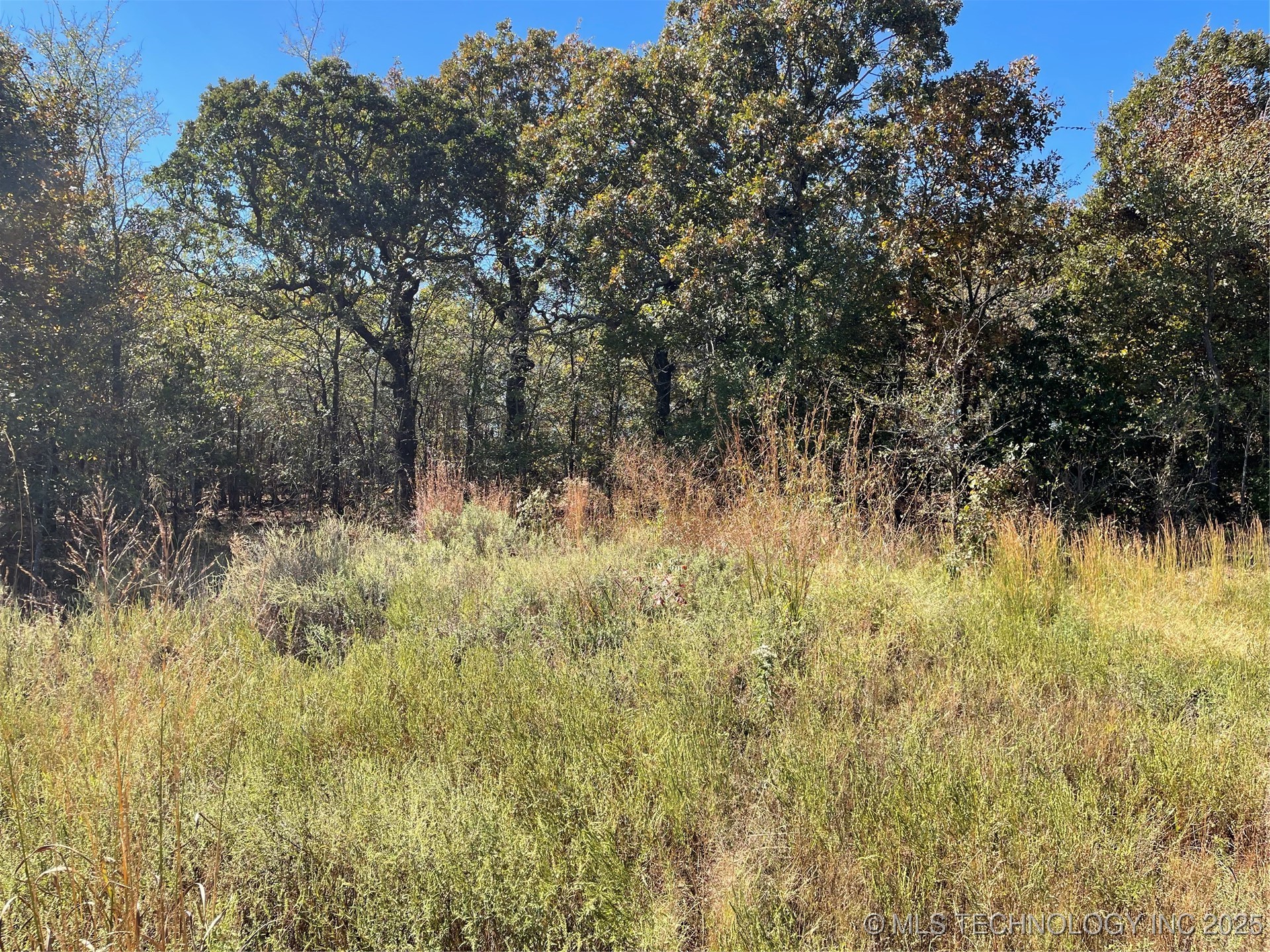 Country Road 3620 Property Photo 1