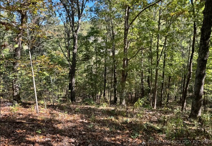 6620 N Starr Ridge Road Property Photo 2