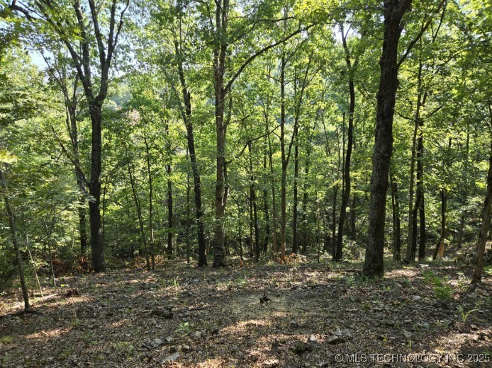 6620 N Starr Ridge Road Property Photo 3