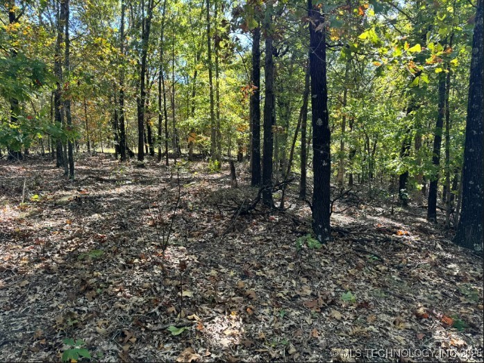 6620 N Starr Ridge Road Property Photo 4