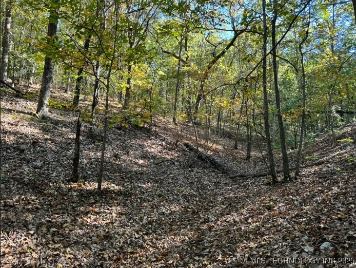 6620 N Starr Ridge Road Property Photo 5