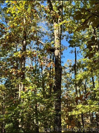 6620 N Starr Ridge Road Property Photo 6