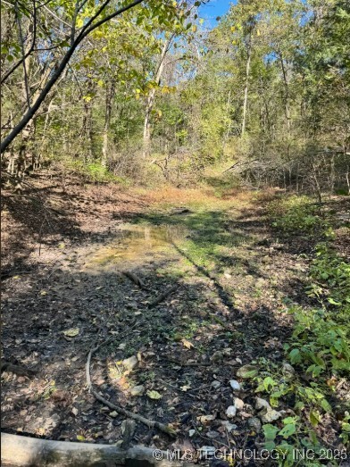 6620 N Starr Ridge Road Property Photo 7