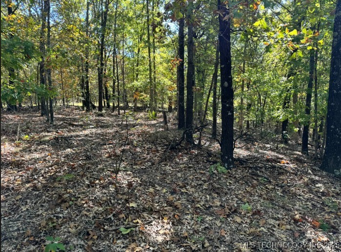 6620 N Starr Ridge Road Property Photo 8