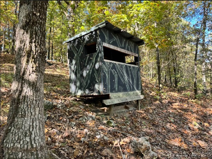 6620 N Starr Ridge Road Property Photo 10