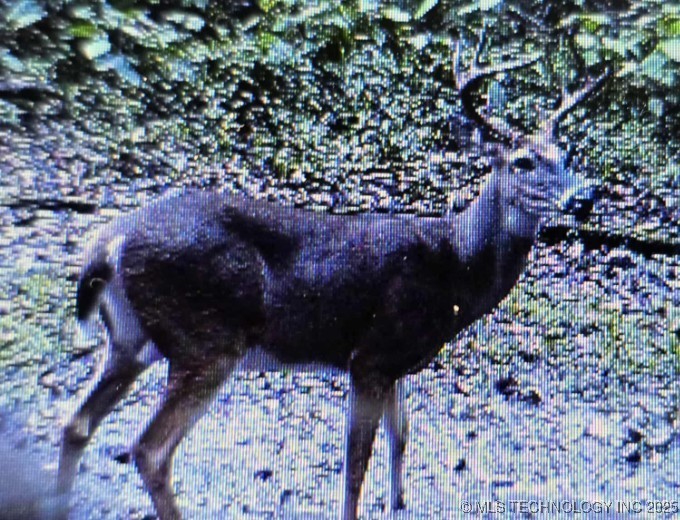 6620 N Starr Ridge Road Property Photo 12