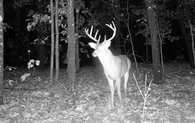 6620 N Starr Ridge Road Property Photo 13