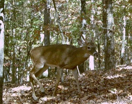 6620 N Starr Ridge Road Property Photo 14