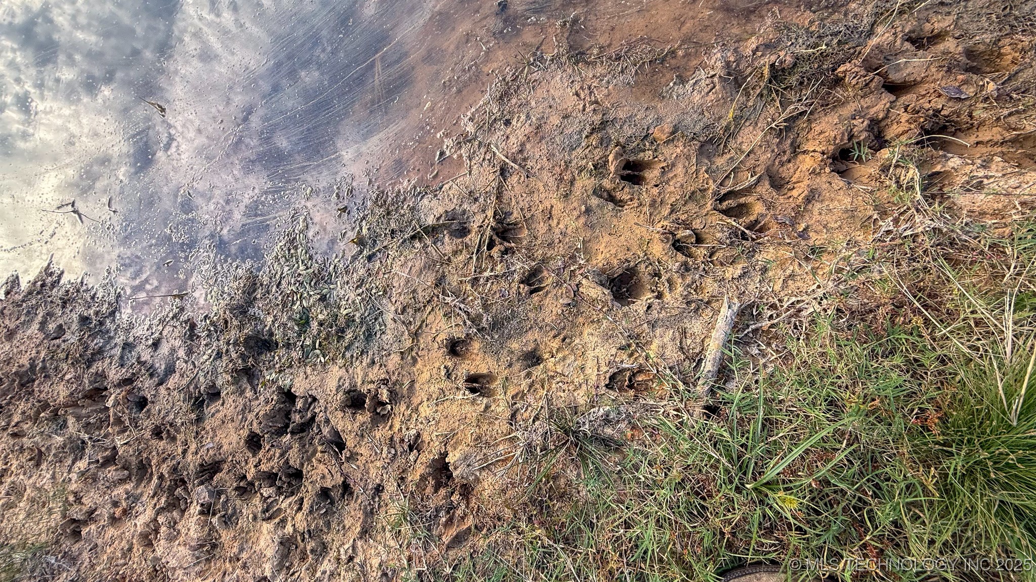 7862 E County Road 1195 Property Photo 41