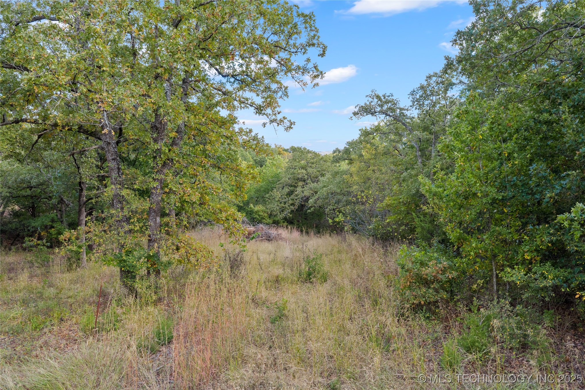 3133 Chickasaw Trail Property Photo 30