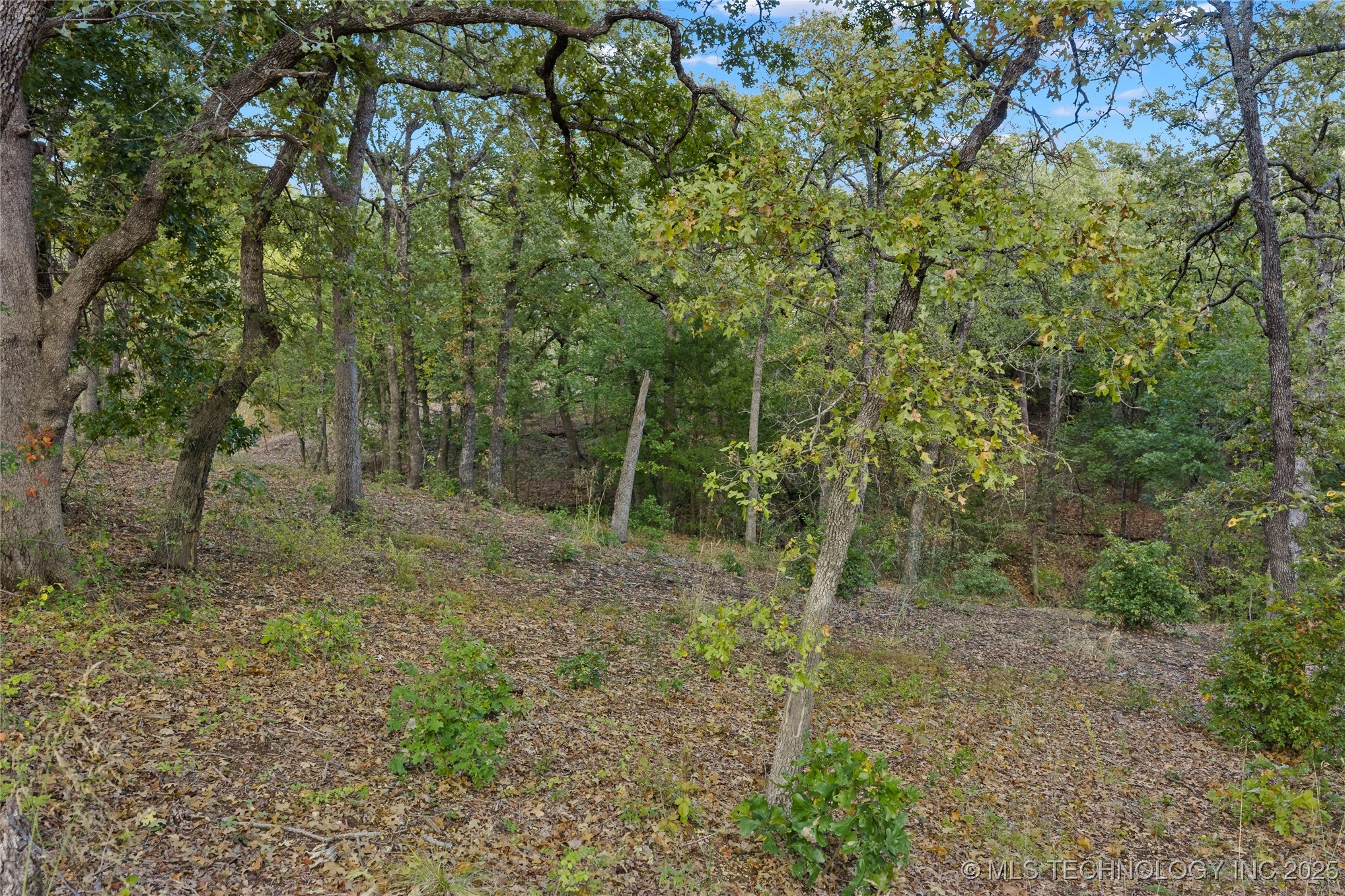 3133 Chickasaw Trail Property Photo 31