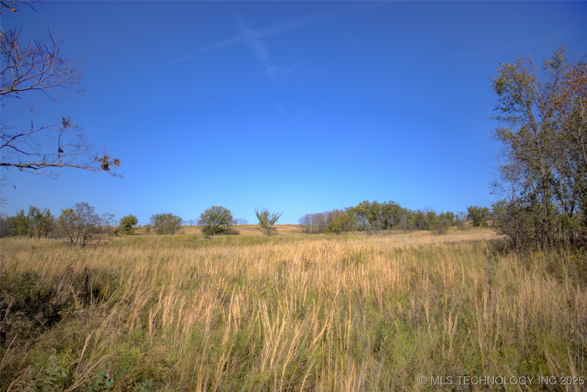 S Bixby Road Property Photo 3