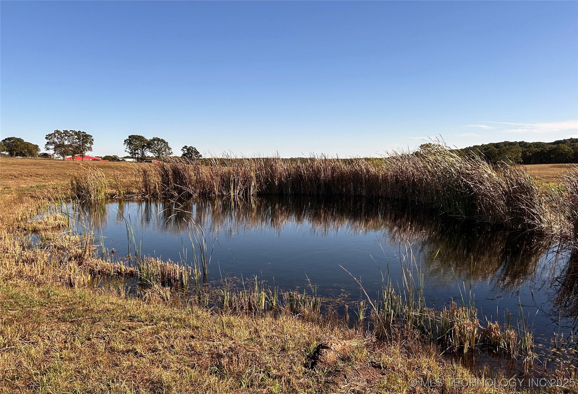 219 County Road 2280 Property Photo 7
