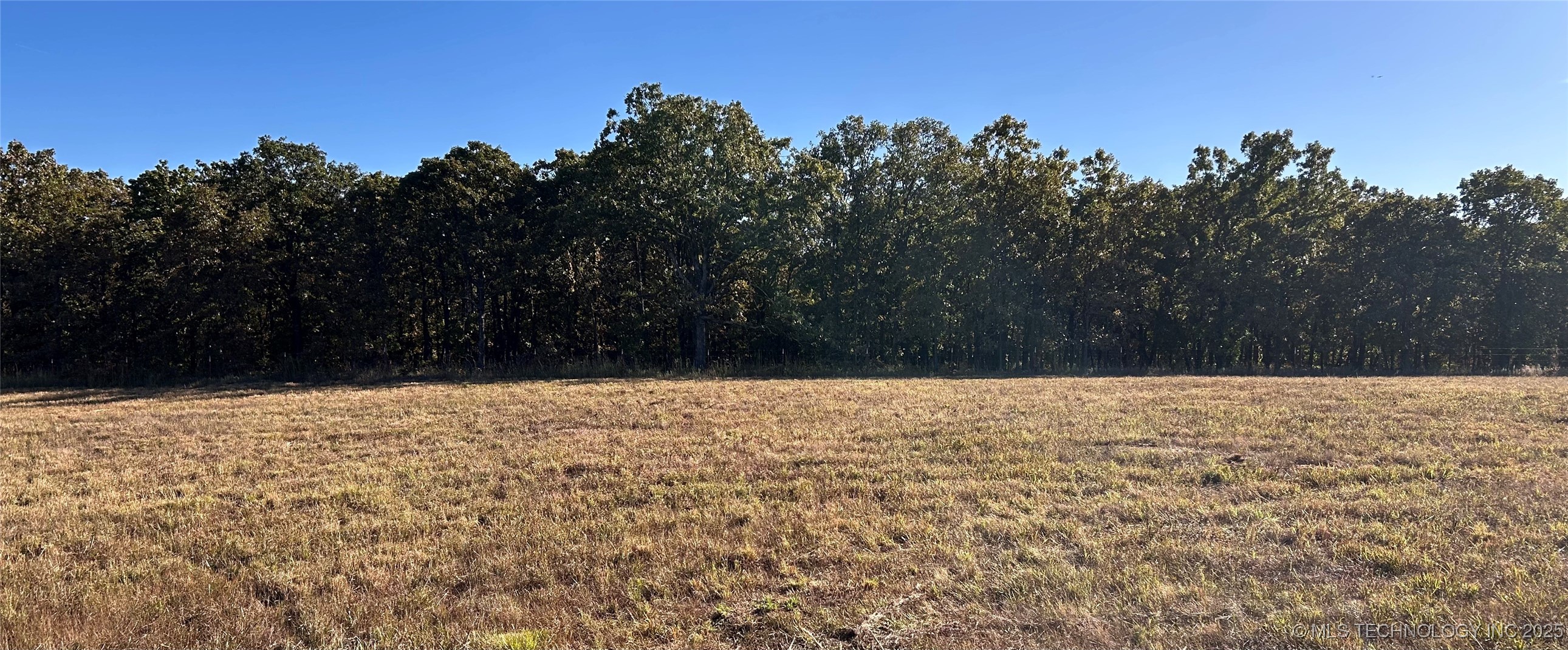 219 County Road 2280 Property Photo 18