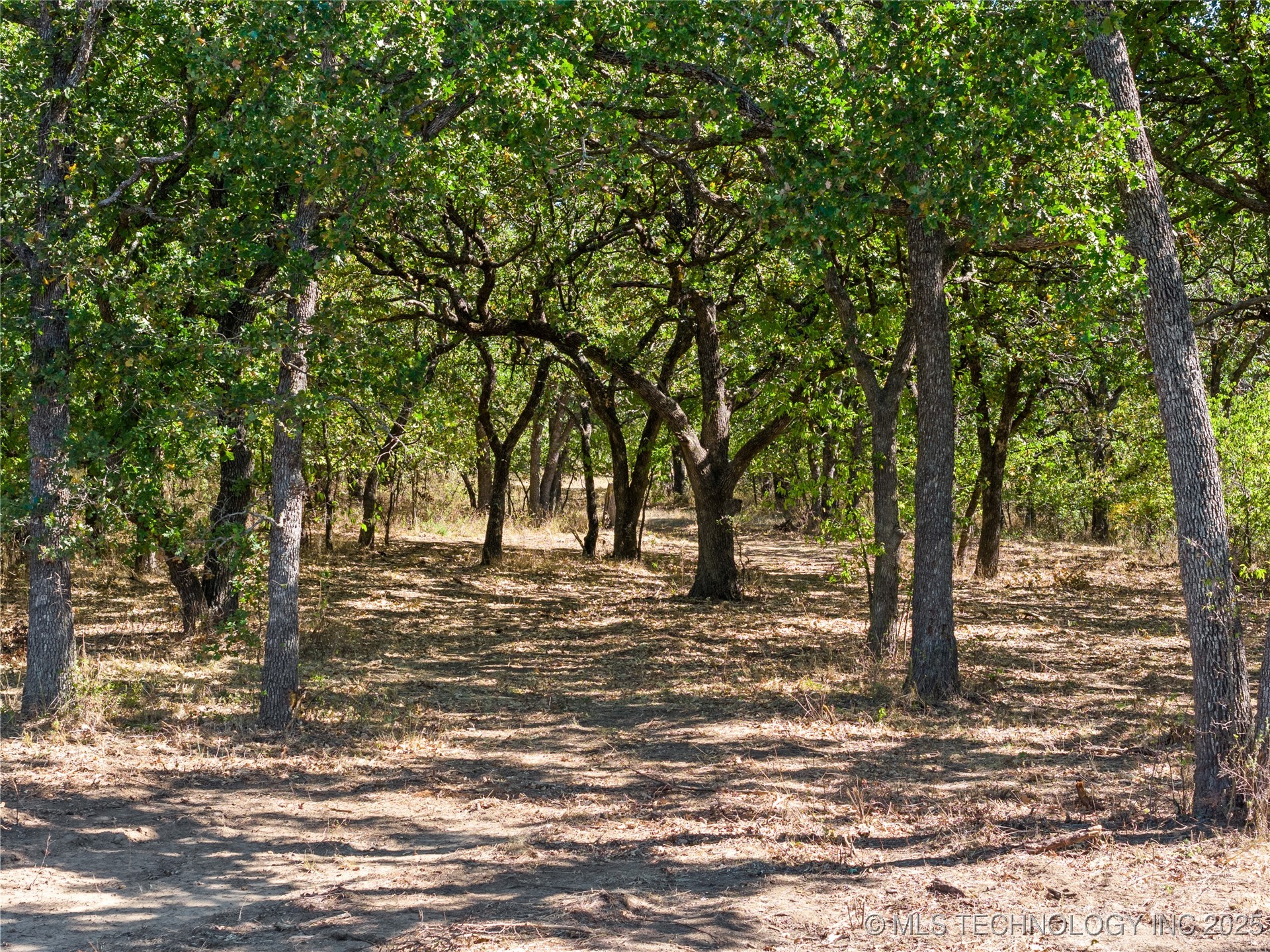004 Cactus Lane Property Photo 3